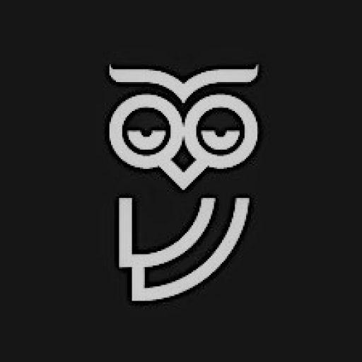This image has an empty alt attribute; its file name is cropped-0new-blue-owl-BLACK.jpg